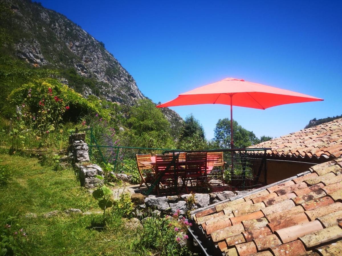 La Maison Sous Le Chateau Montségur Eksteriør billede